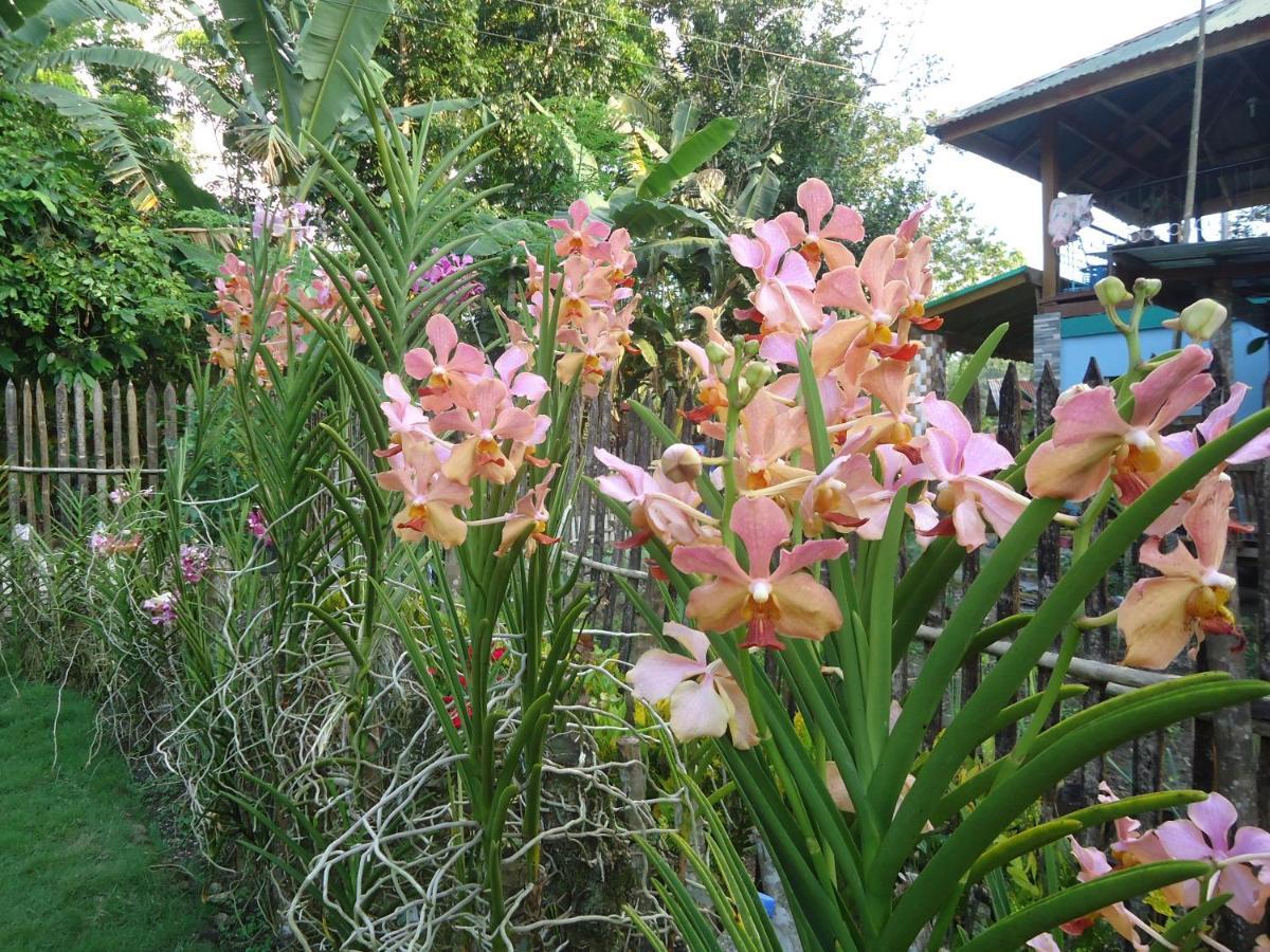 Lhoyjean Garden Hostel Batuan المظهر الخارجي الصورة