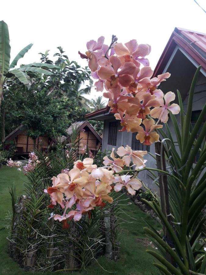Lhoyjean Garden Hostel Batuan المظهر الخارجي الصورة