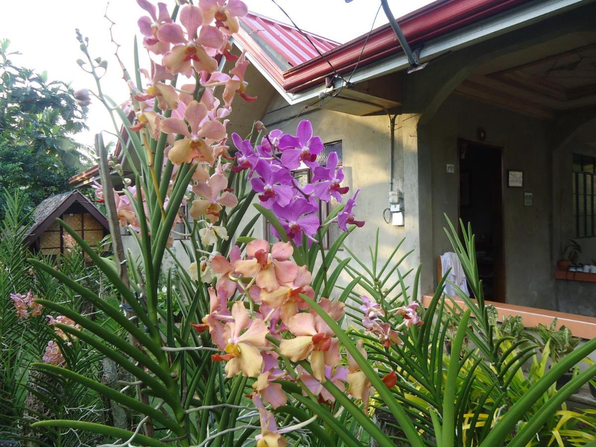 Lhoyjean Garden Hostel Batuan المظهر الخارجي الصورة