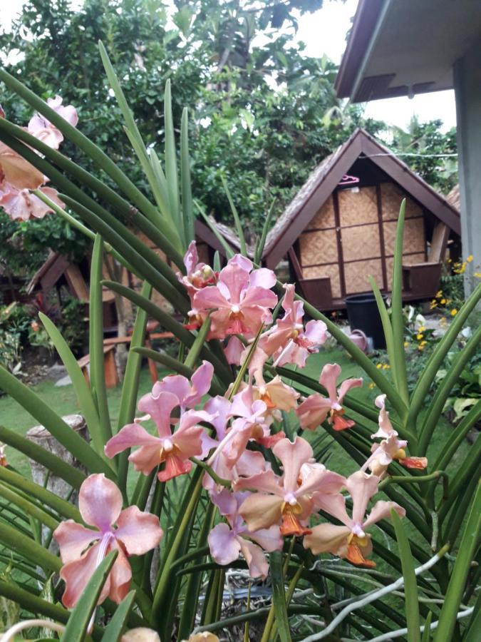 Lhoyjean Garden Hostel Batuan المظهر الخارجي الصورة